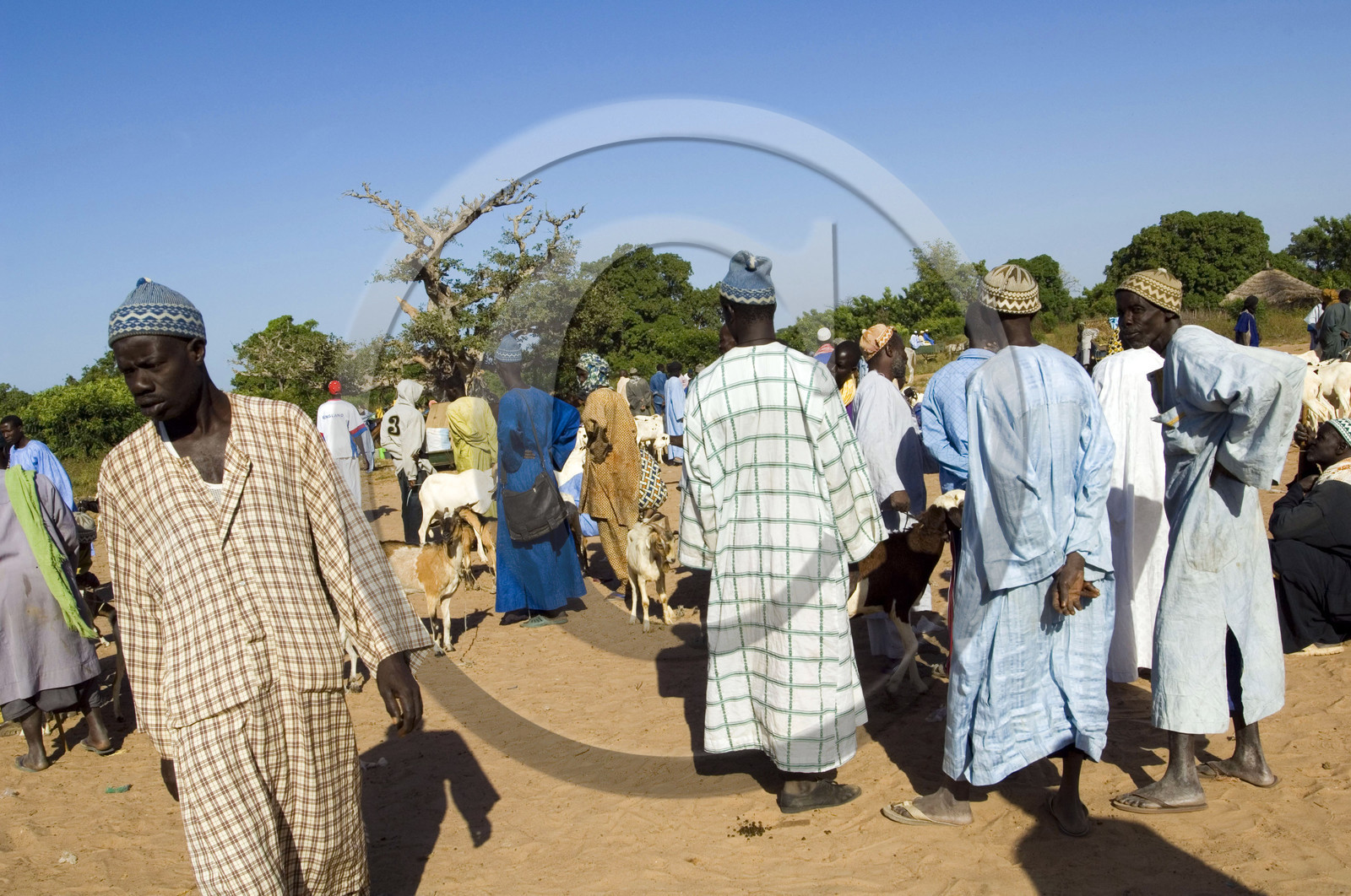Marché de Gueguenne, Sénégal