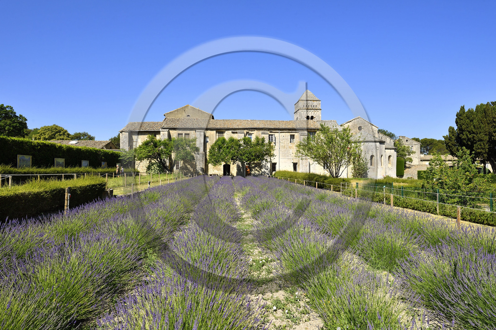France, Saint Remy de Provence