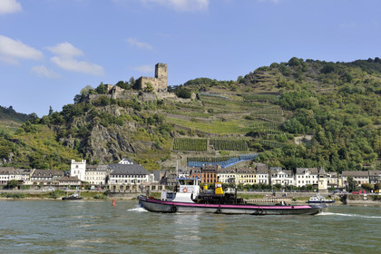 Allemagne, Rhin