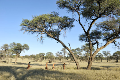 Namibie, Kalahari
