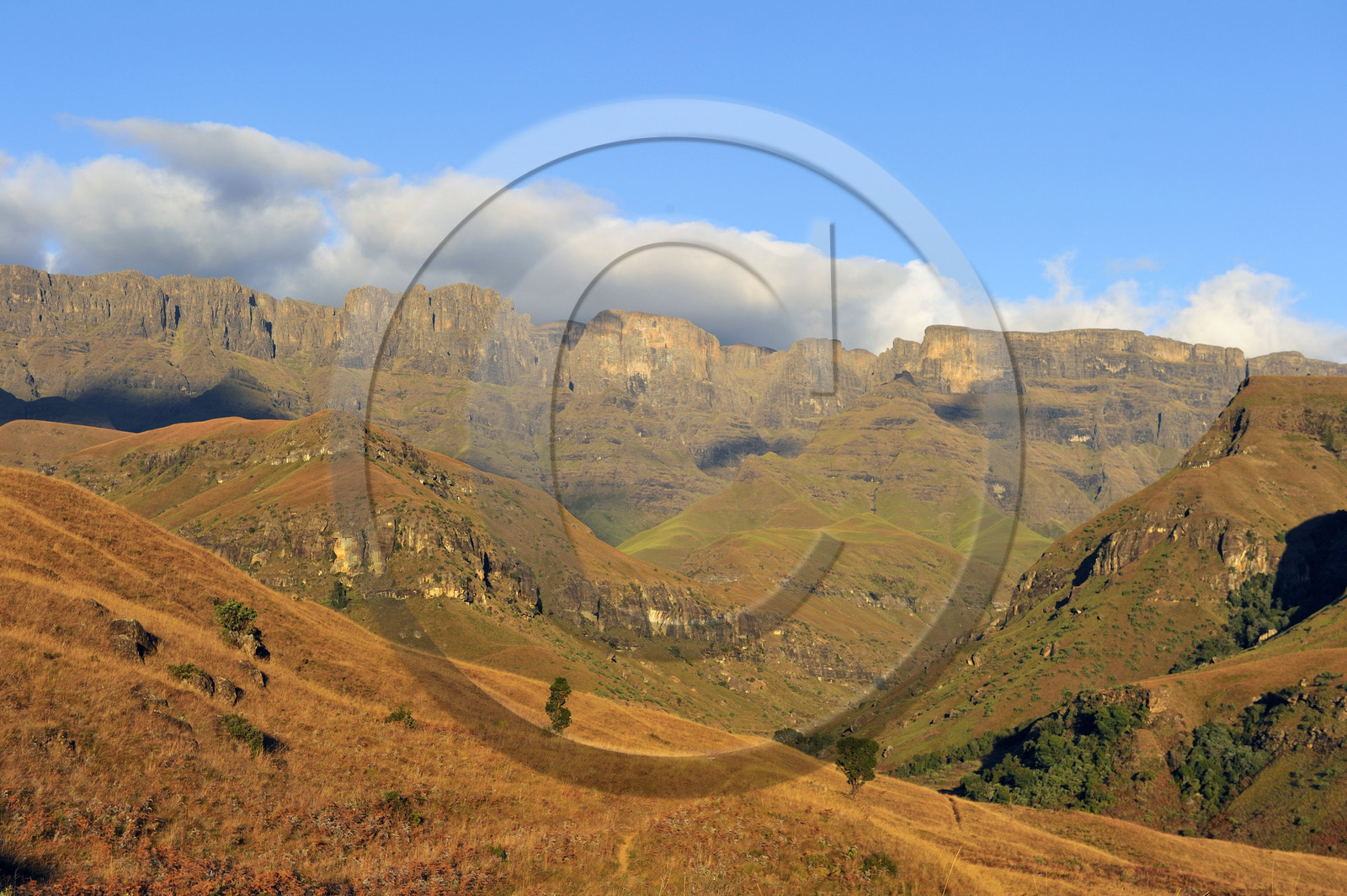 AFS, Drakensberg