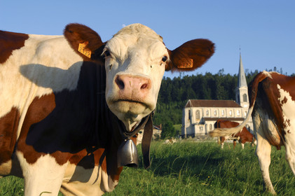 Franche-Comte, France