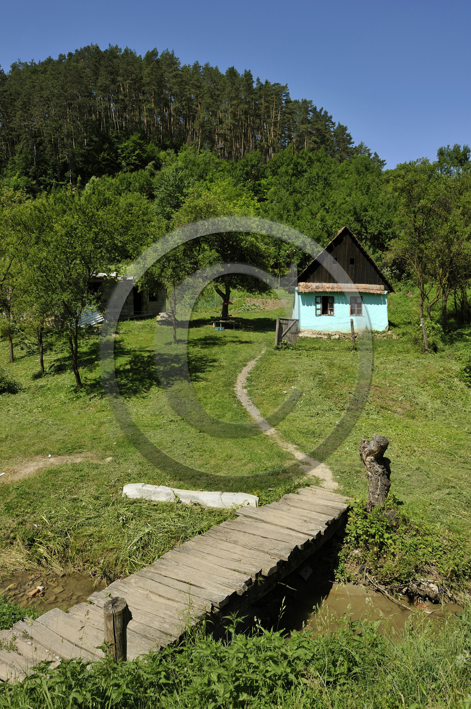 Roumanie, Transylvanie