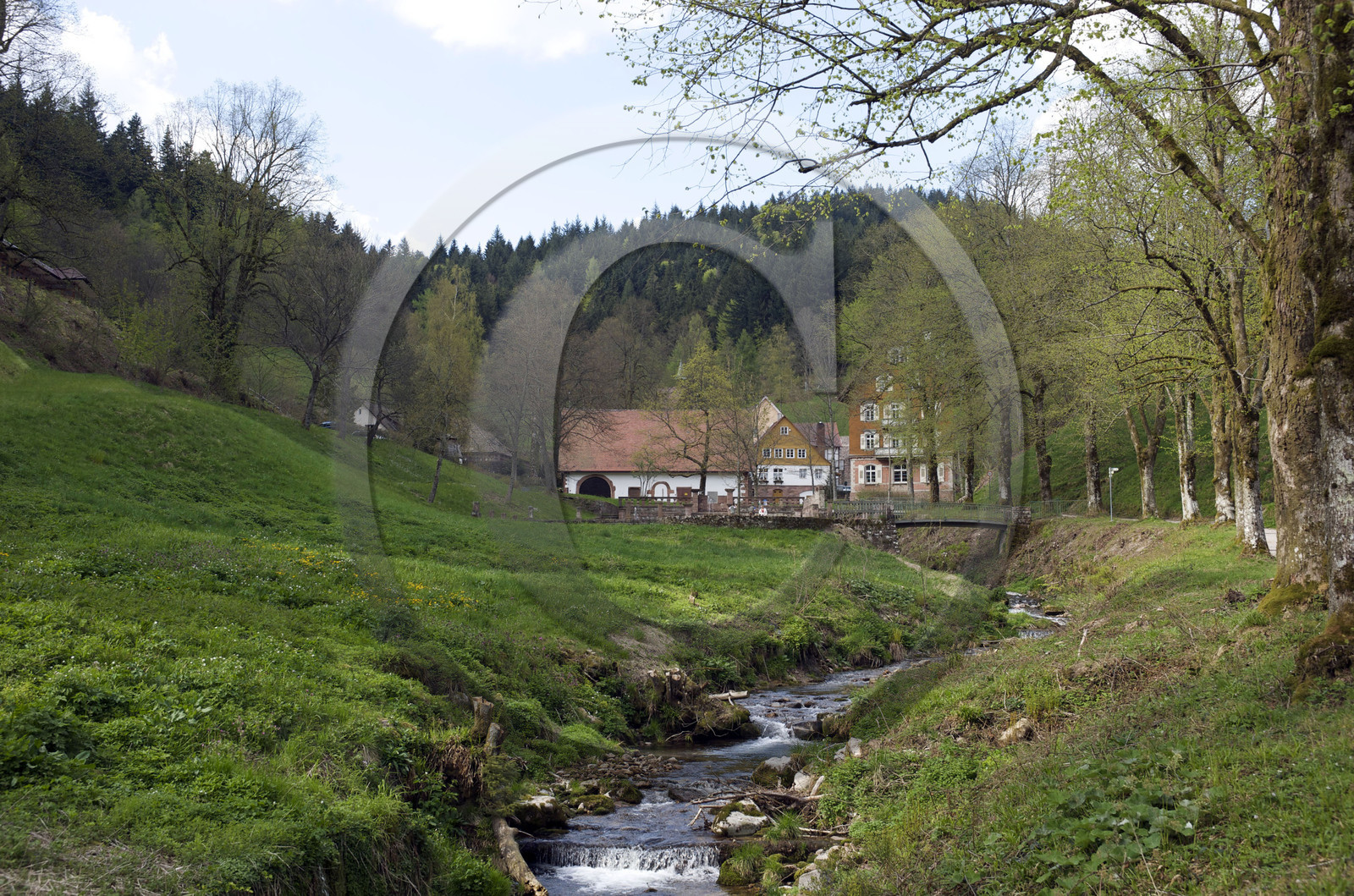 Allemagne, Forêt Noire
