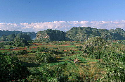 VALLÉE DE VINALES.CUBA