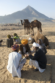 Inde, Pushkar