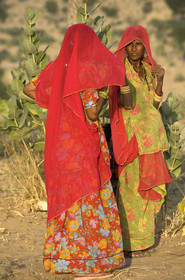 Inde, Rajasthan