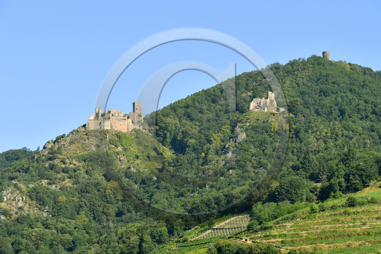 France,  Ribeauville