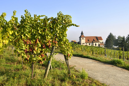 France, Dambach la Ville