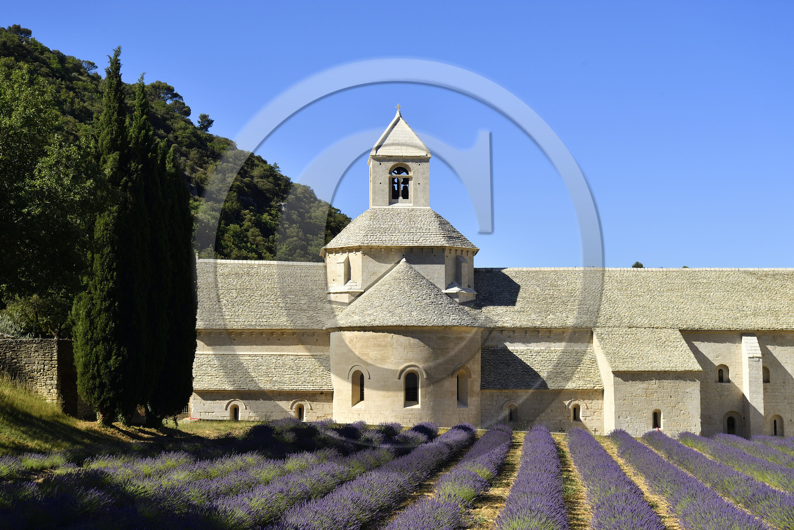 France, Senanque