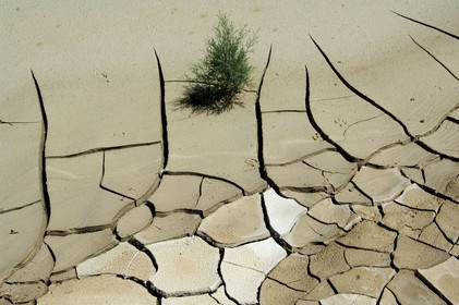 REGION DE LA MER MORTE. JORDANIE