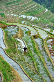 Chine, Longsheng