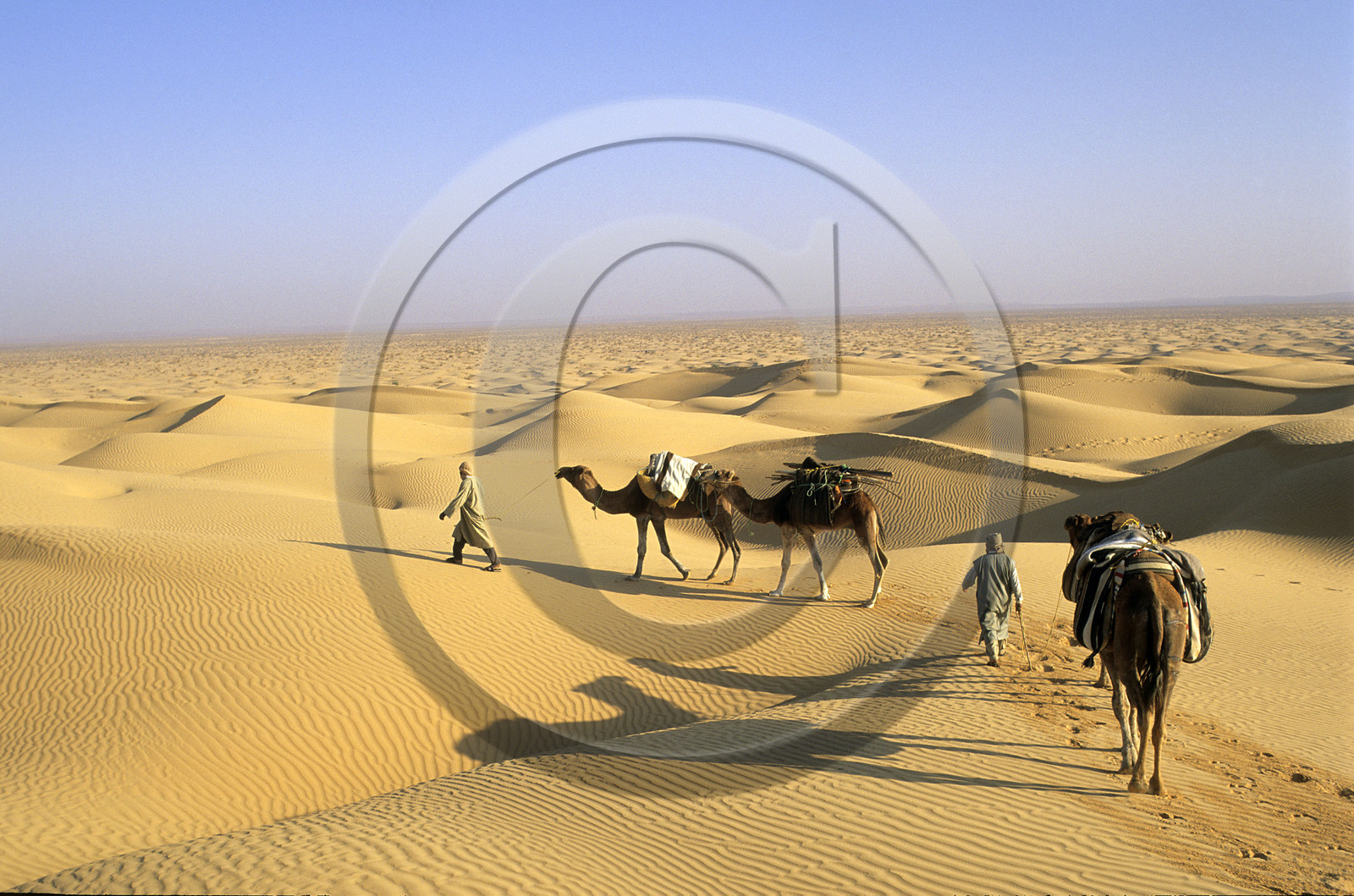 Erg Oriental, Tunisie