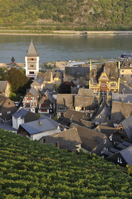 Allemagne, Rhin