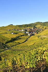 France, Niedermorschwihr