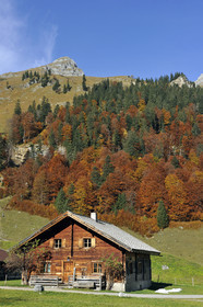 Autriche, Tyrol