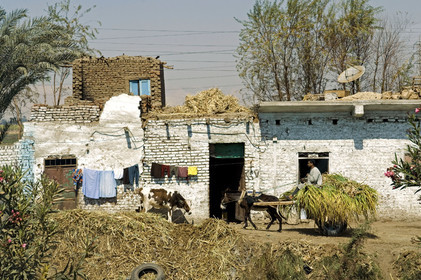Egypte, Vallée du Nil