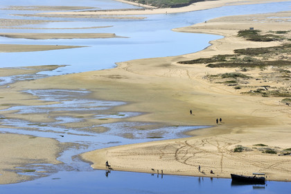 AFS, Plettenberg Bay