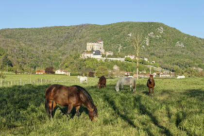 France france haute garonne saint bertrand comminges