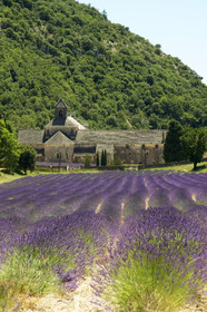 France, Senanque