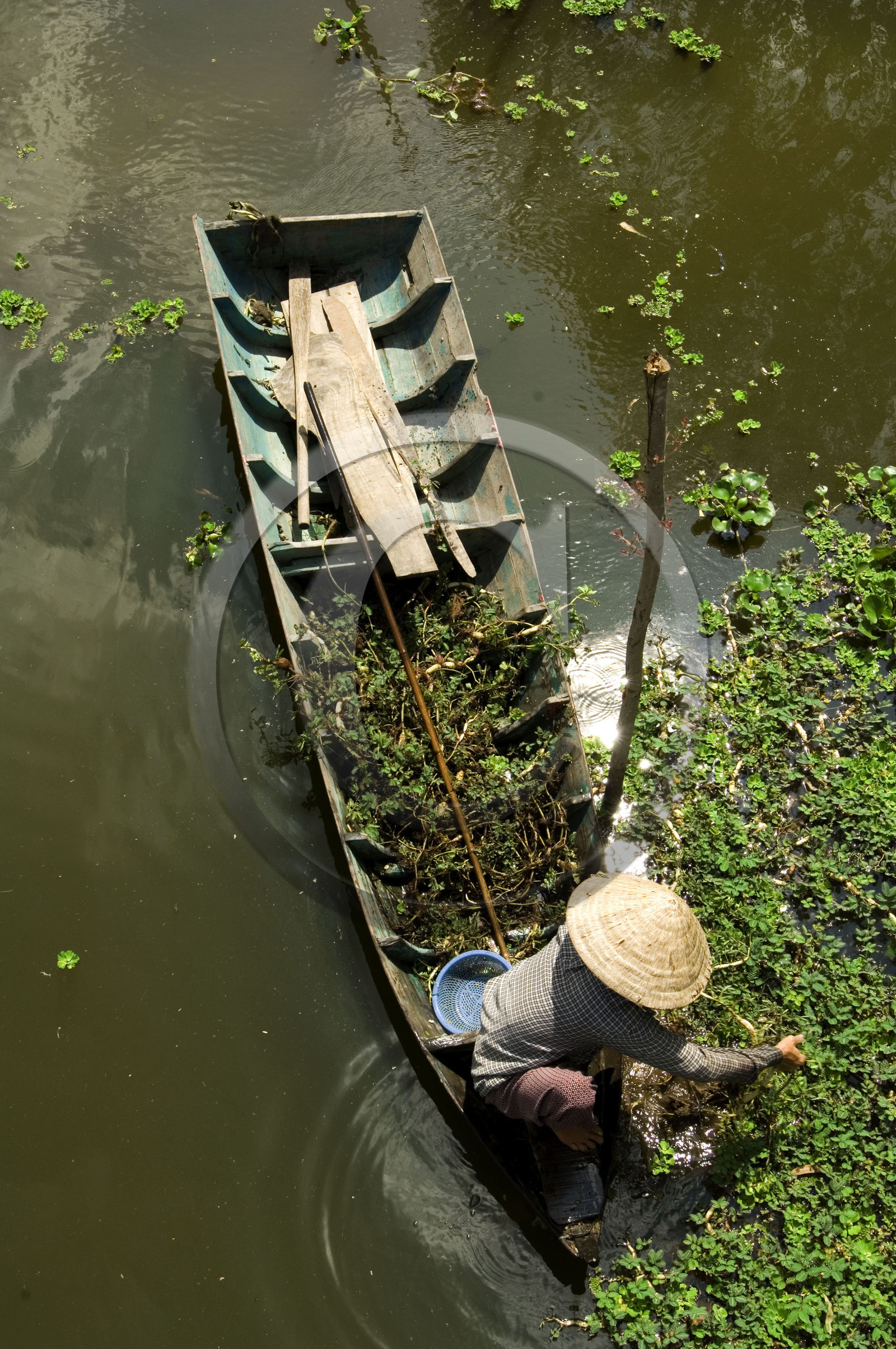 DELTA DU MEKONG.VIETNAM