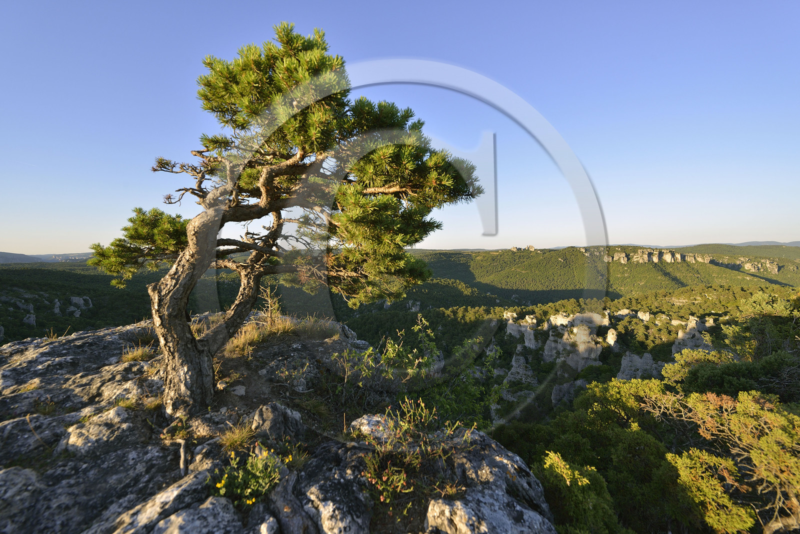 France, Montpellier Vieux