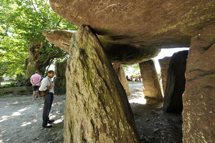 France, Roche aux Fées