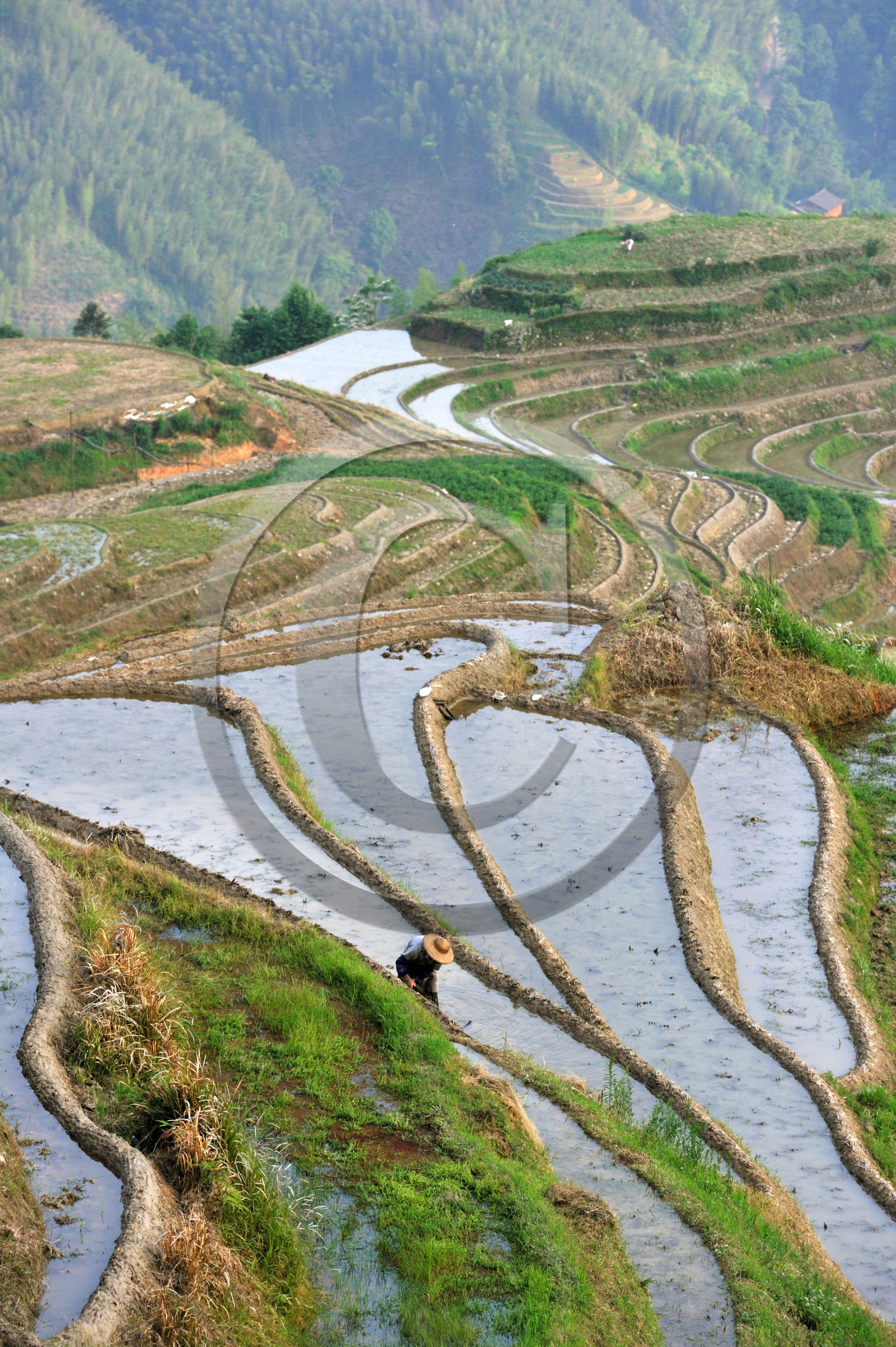 Chine, Longsheng
