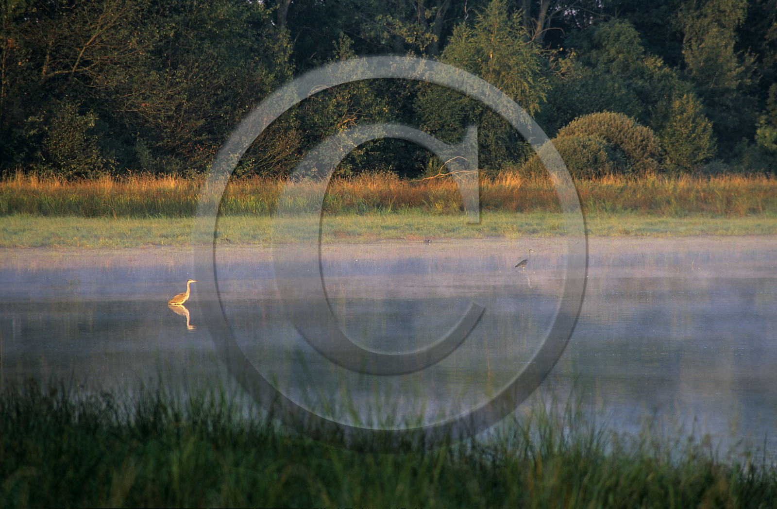 LA DOMBES (01), FRANCE