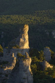 France, Montpellier Vieux