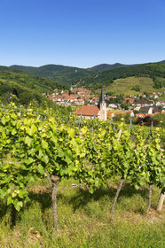 France, Andlau