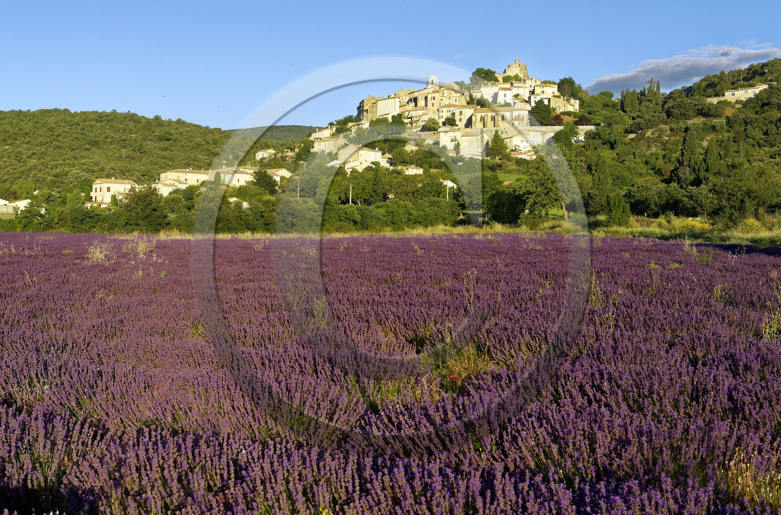 France, Simiane la Rotonde