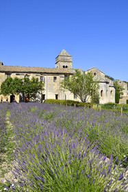 France, Saint Remy de Provence