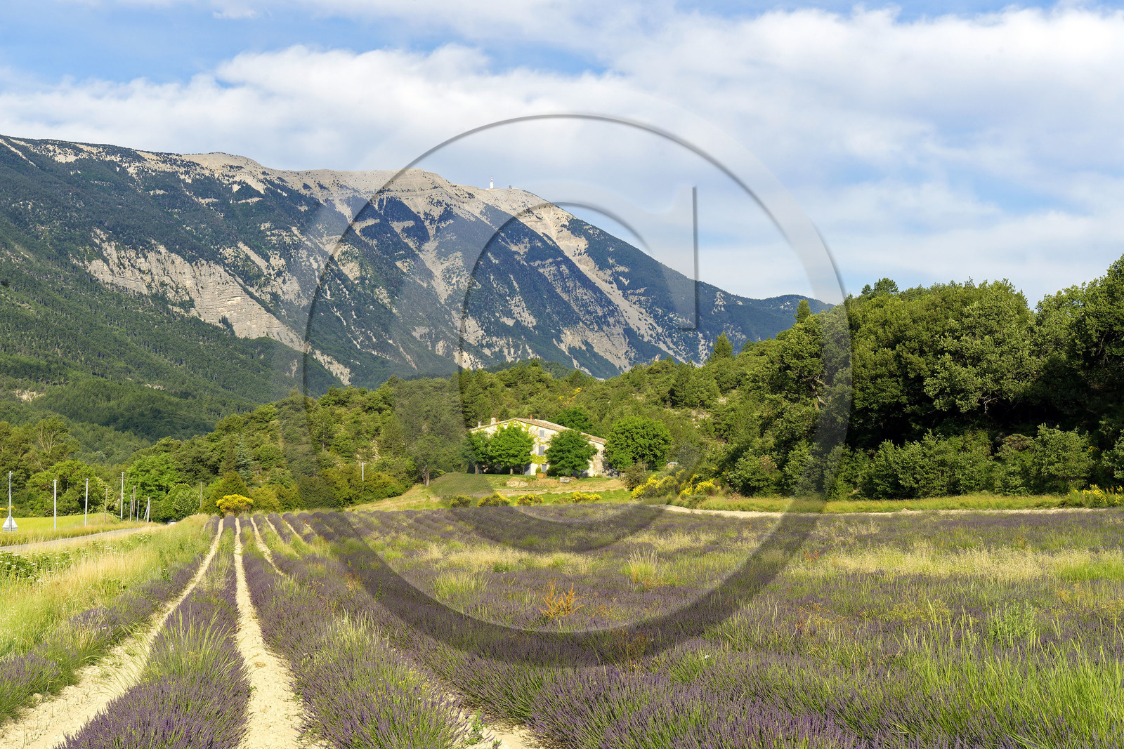 France, Mont Ventoux