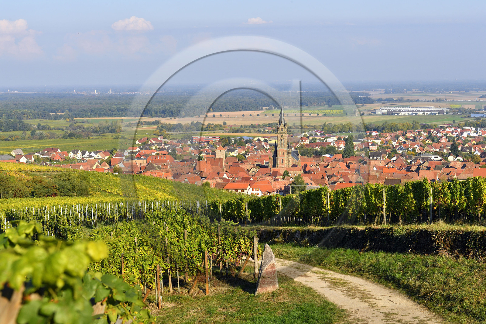 France, Dambach la Ville