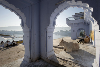 Inde, Pushkar