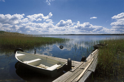 Estonie, Pays Baltes