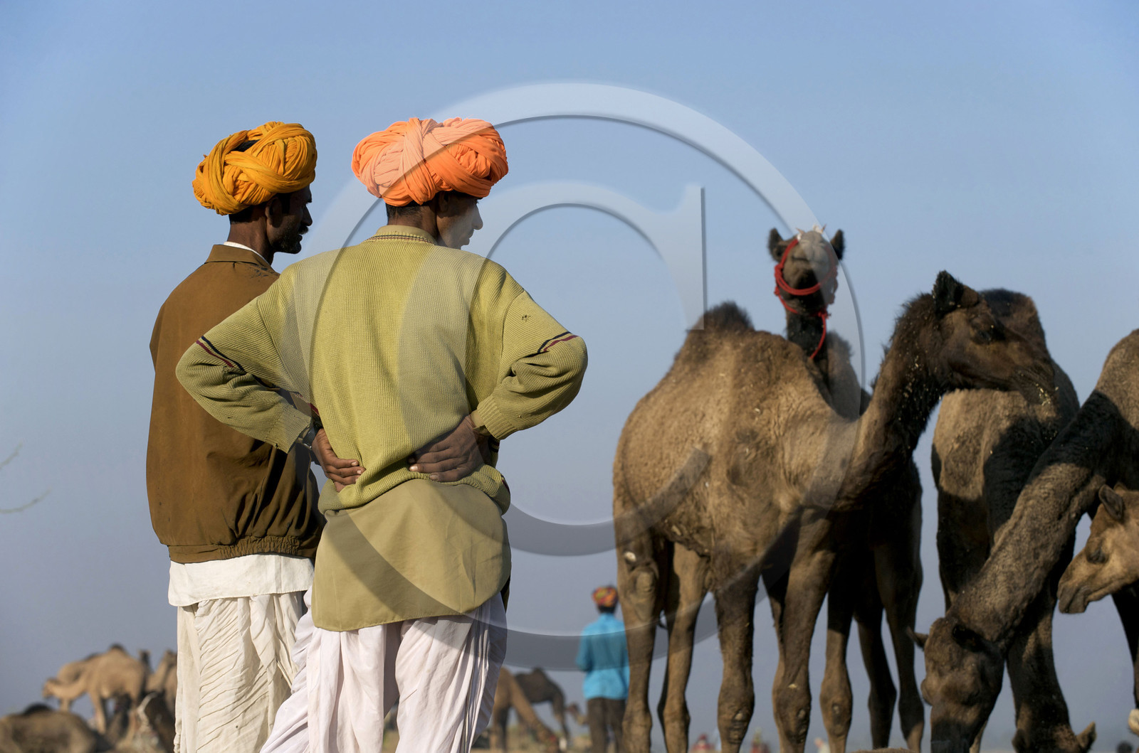 Inde, Pushkar