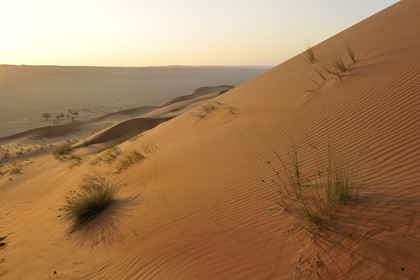 Oman, Wahiba sands