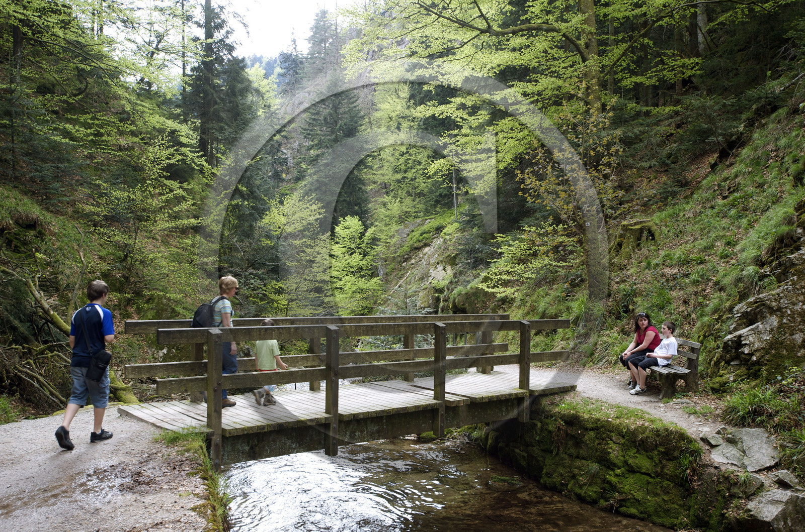 Allemagne, Forêt Noire