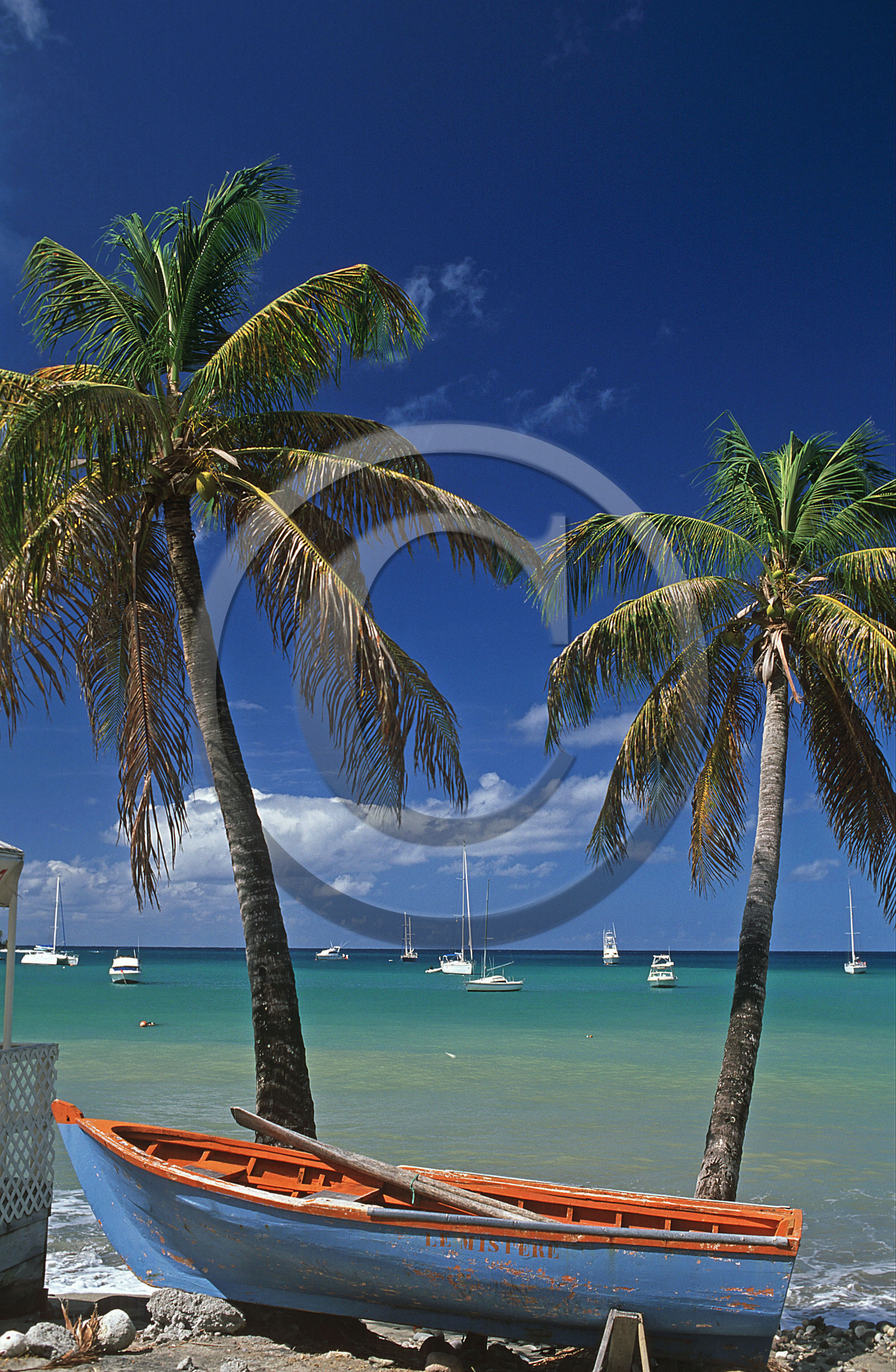 Deshaies.Guadeloupe. Antilles Françaises