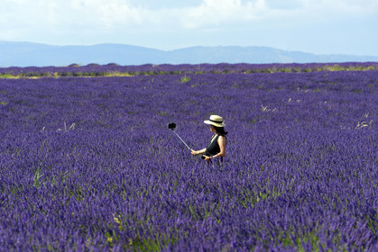France, Valensole