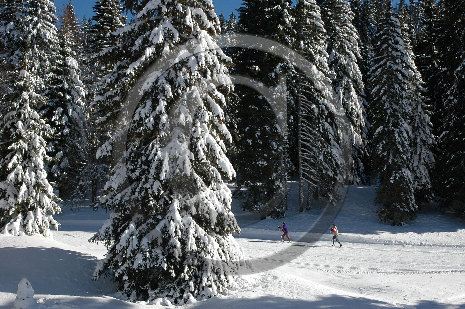 Franche-Comte, France