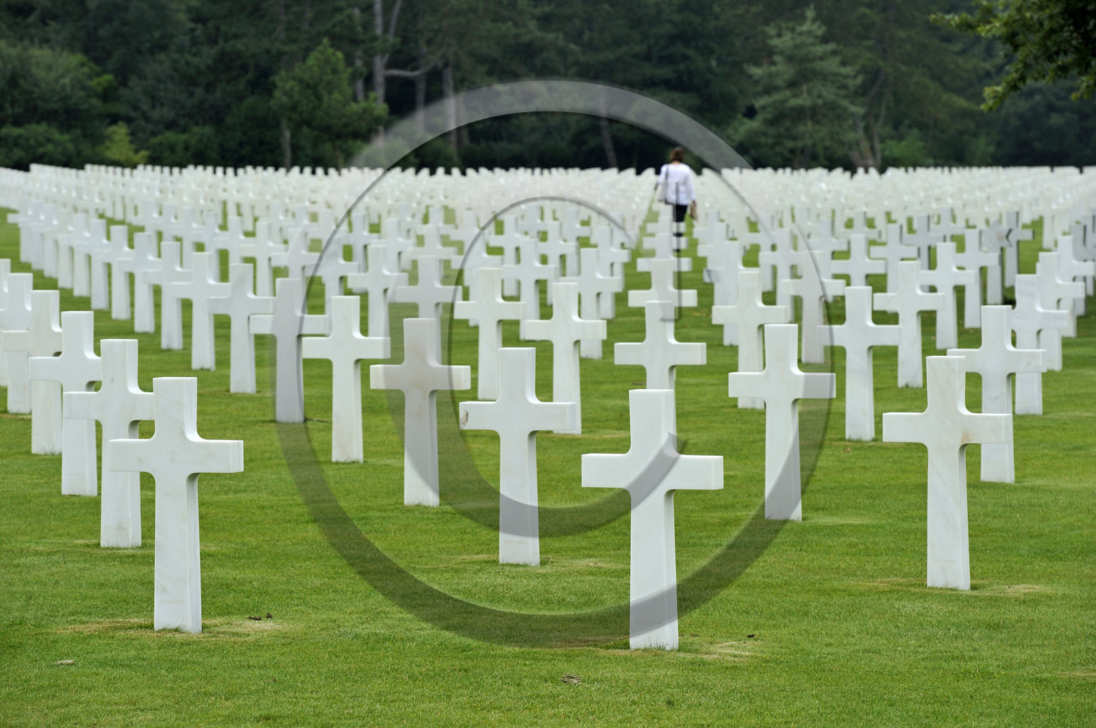 France, debarquement