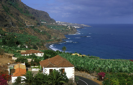 Canaries. Espagne