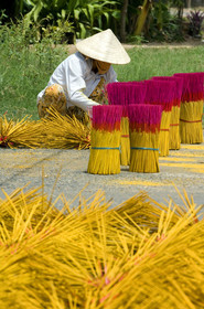 DELTA DU MEKONG, VIETNAM