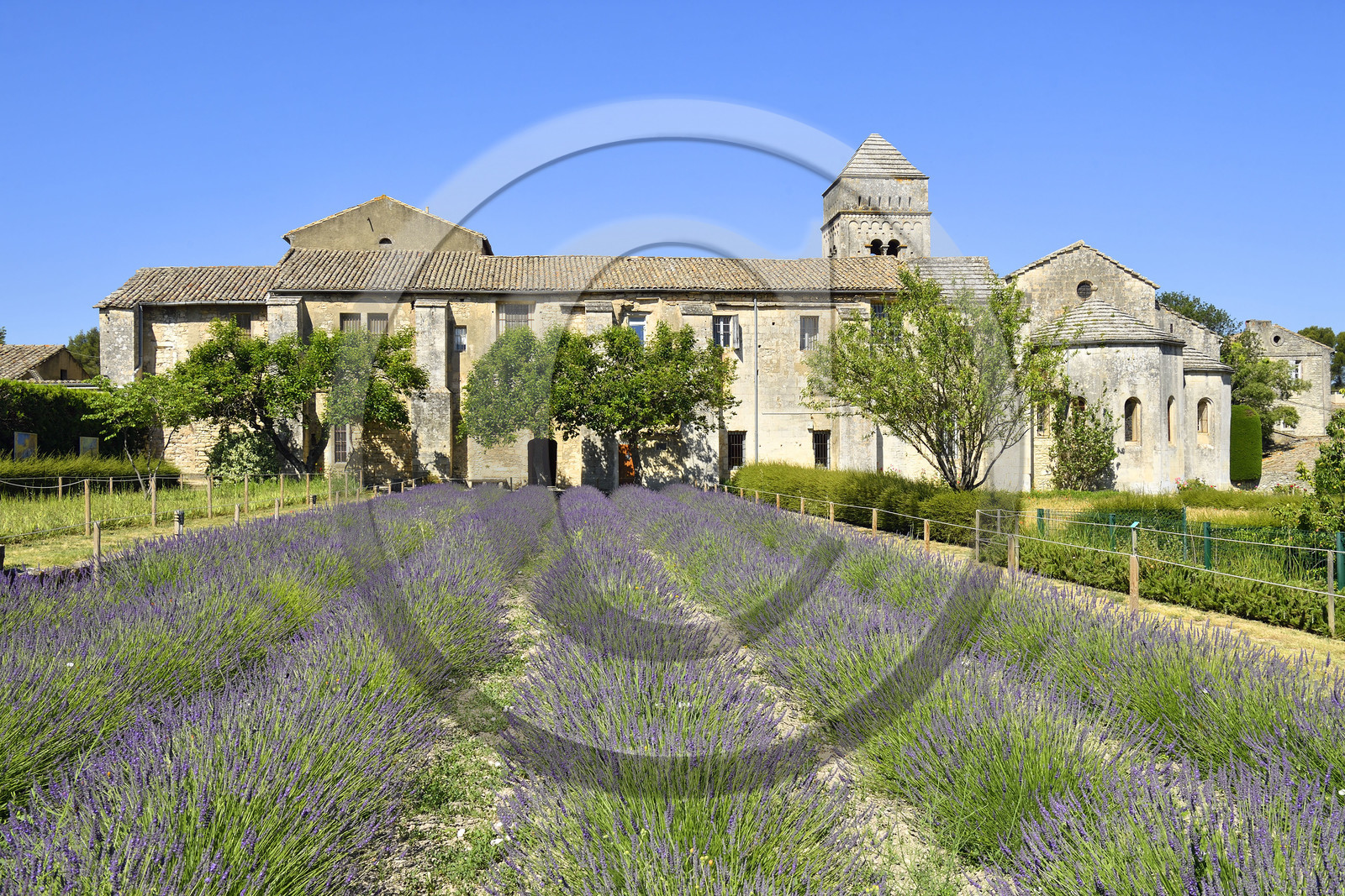 France, Saint Remy de Provence