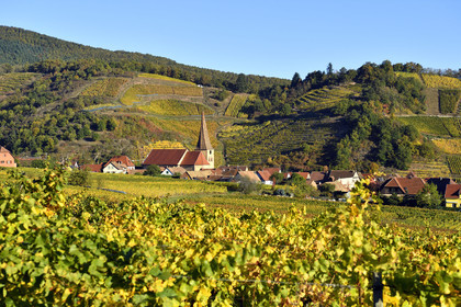 France, Niedermorschwihr