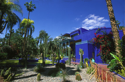 MAROC   MARRAKECH.JARDINS MAJORELLE
