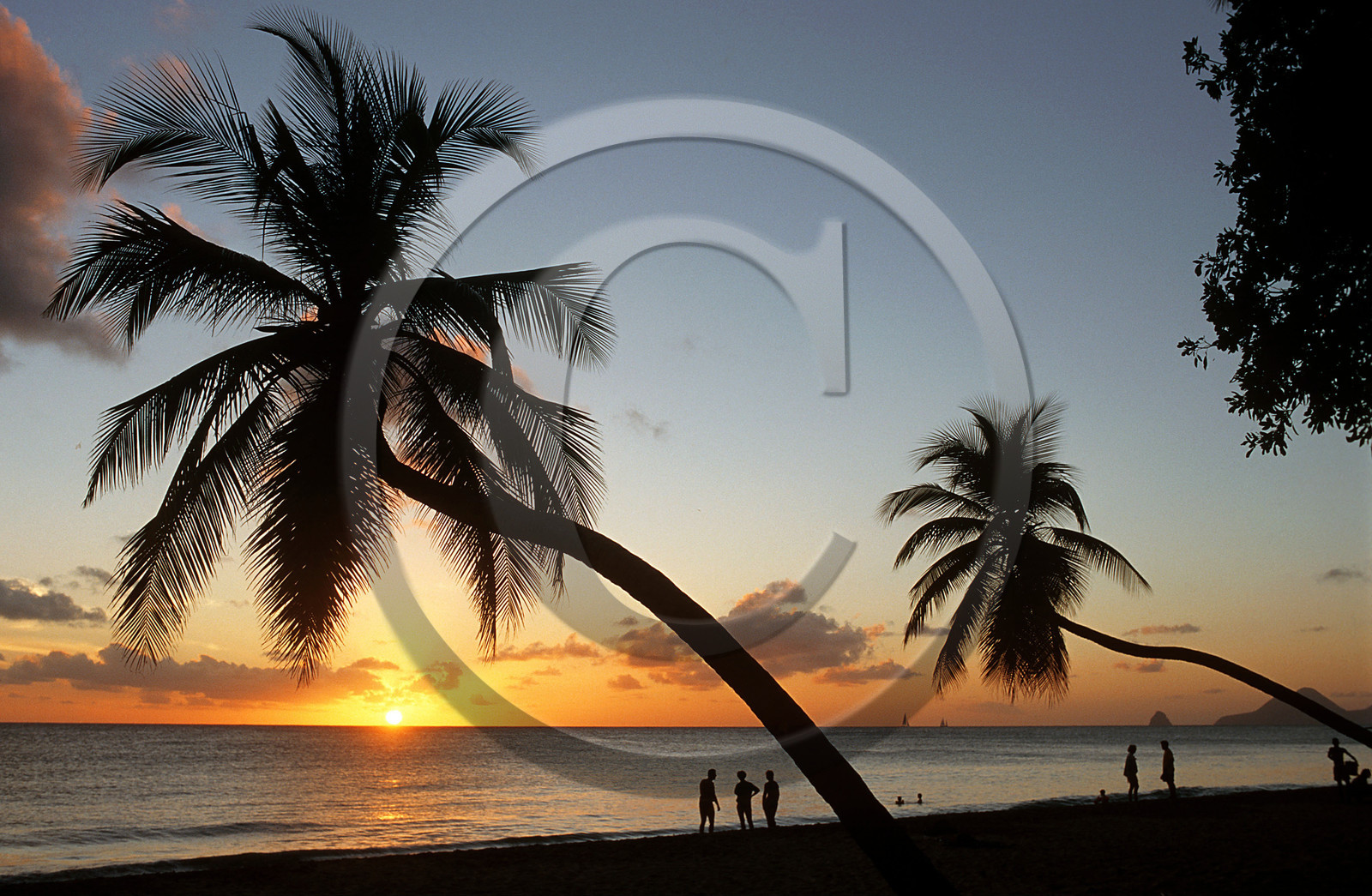 Plage des Salines. Martinique. Antilles Françaises